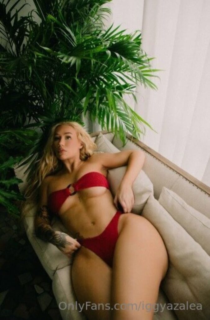 Слив Игги Азалия (Iggy Azalea) OnlyFans слив фото 16 OnlyFans 2026